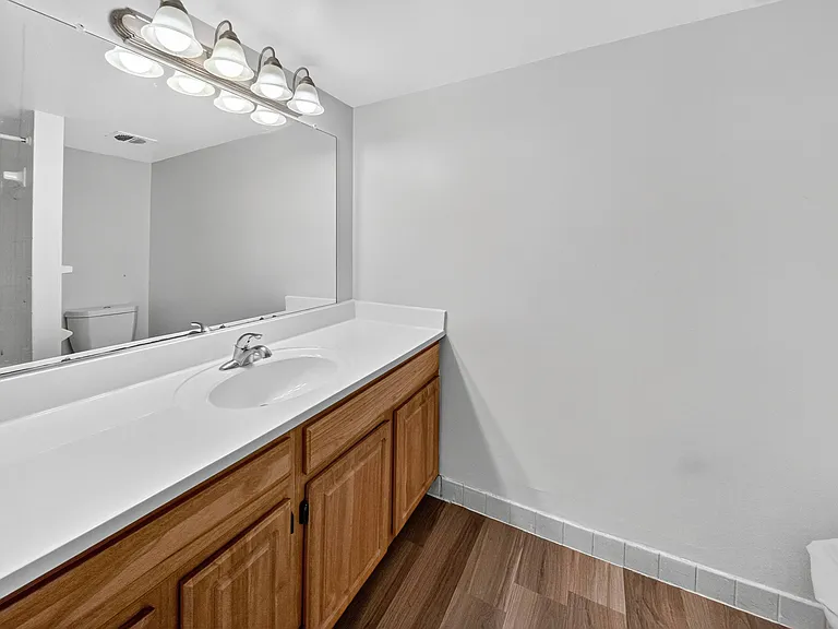 The Forest Apartments — Photo 11