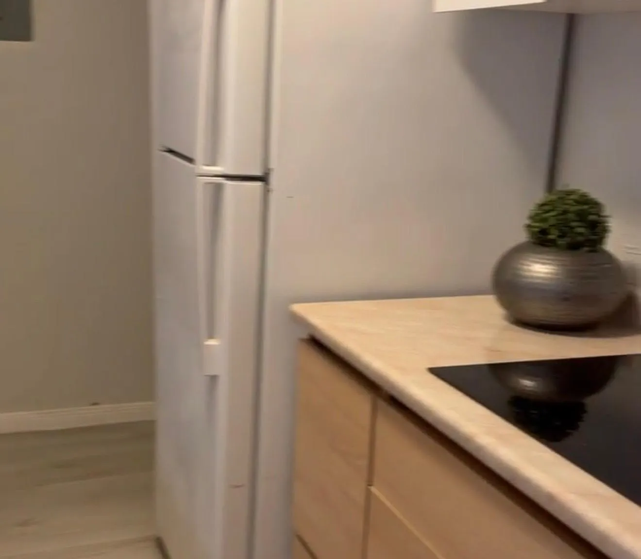 2 bed, 954 sqft, $1,500 — Photo 4