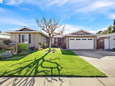 3623 Sutton Loop, Fremont, CA, 94536