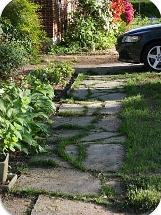 front yard :: walkway