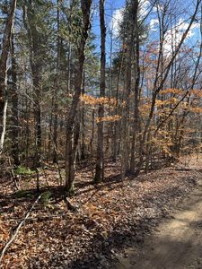 0 N Fordney Tower Rd, Newberry, MI, 49868
