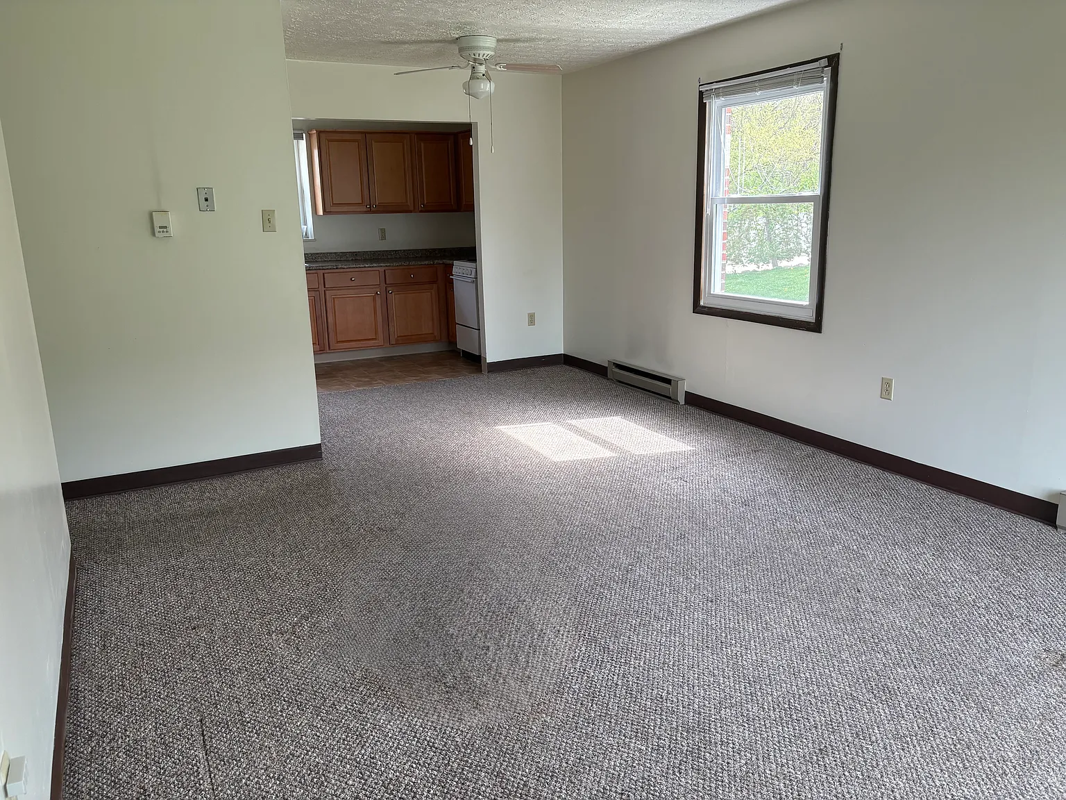 1 bed, 538 sqft, $1,040 — Photo 2