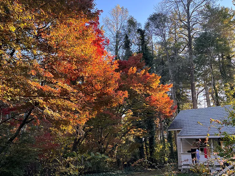 Greenville Hwy — Photo 25