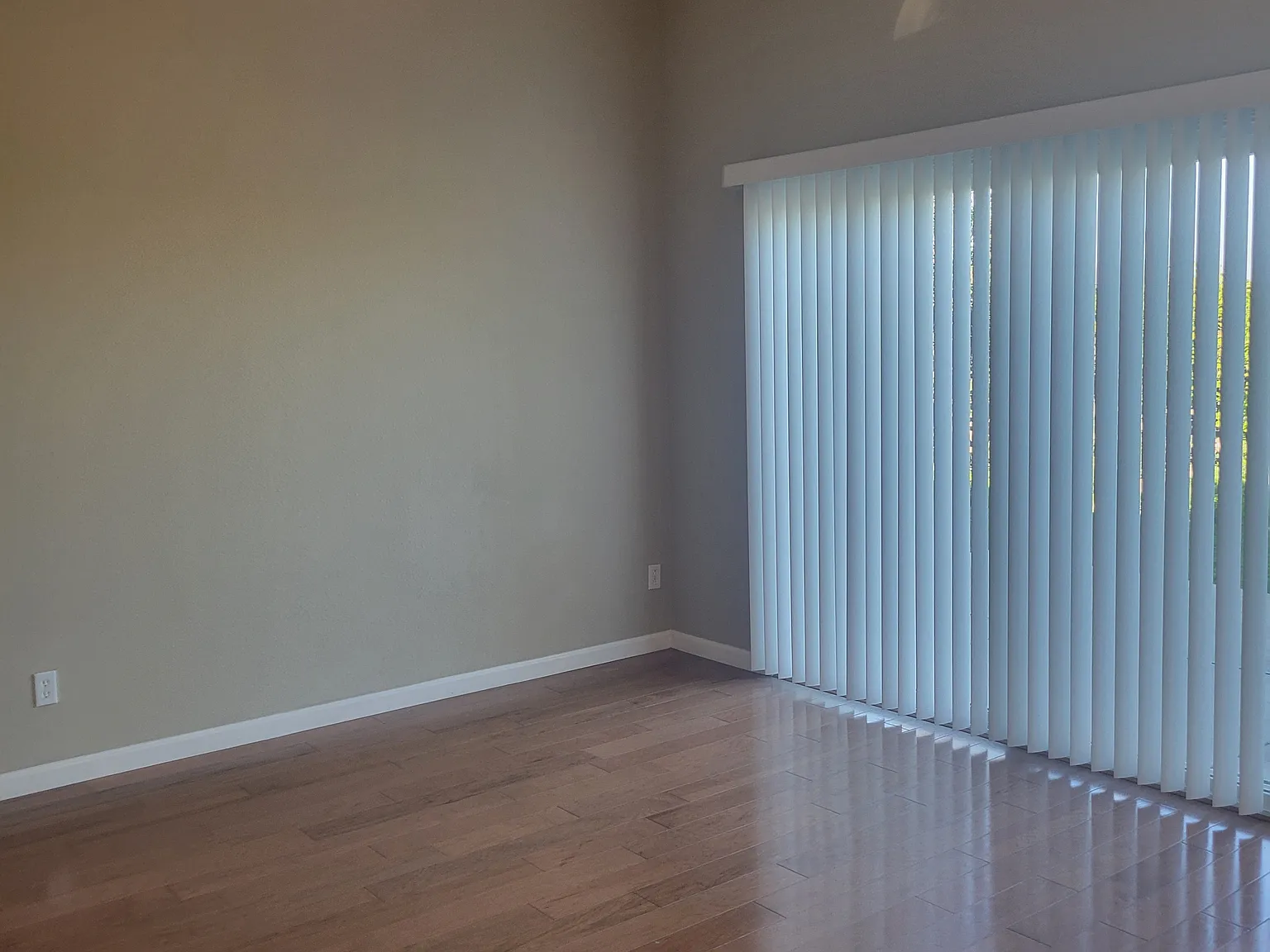 1008 Diamante Dr — Photo 4