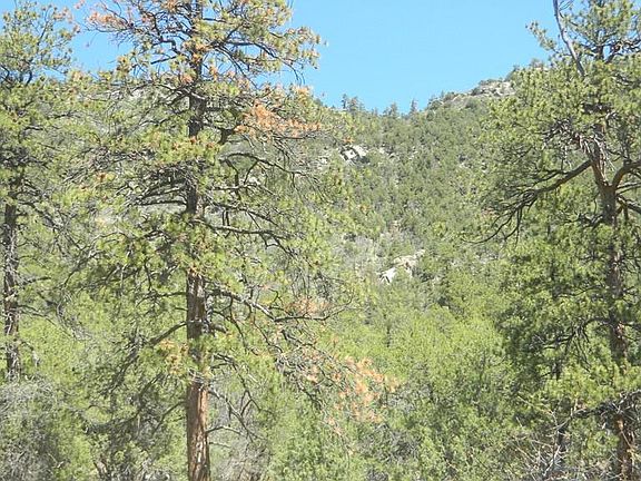 2nd image of 756 Wiest Hill Trl