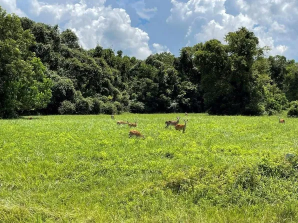 334 Lakeview Dr, Angleton, TX 77515