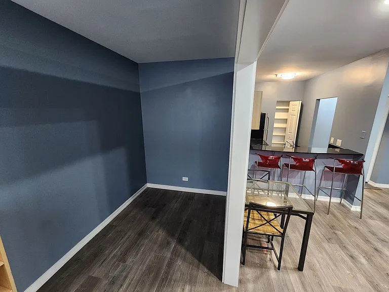 680 S Federal St #909 — Photo 15