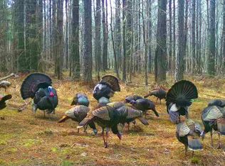 0 Pleasant Hill Rd, Ashland, MS 38603