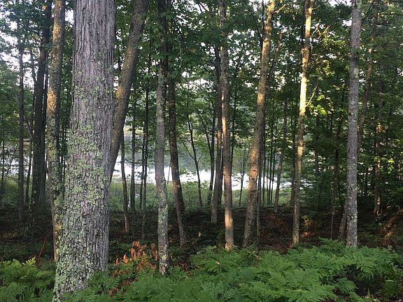 2nd image of 10793 Lake Shore Dr