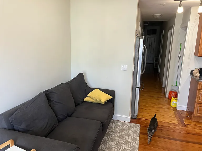 231 Norfolk St #6 — Photo 6