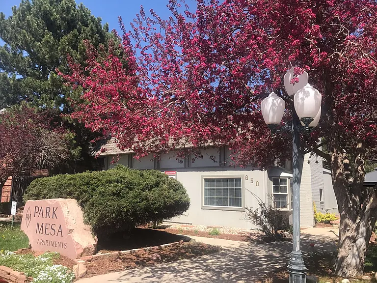 Park Mesa — Photo 41