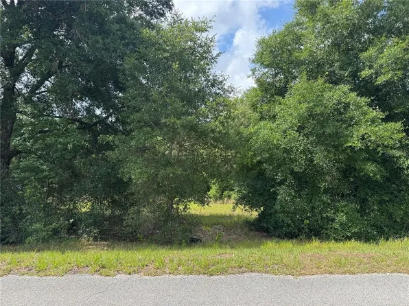 Keene Rd Lot 6, Altoona, FL 32702