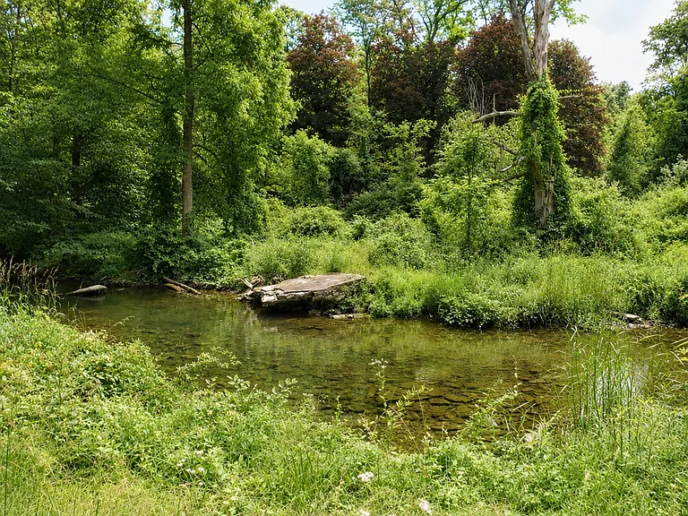 Webatuck Creek