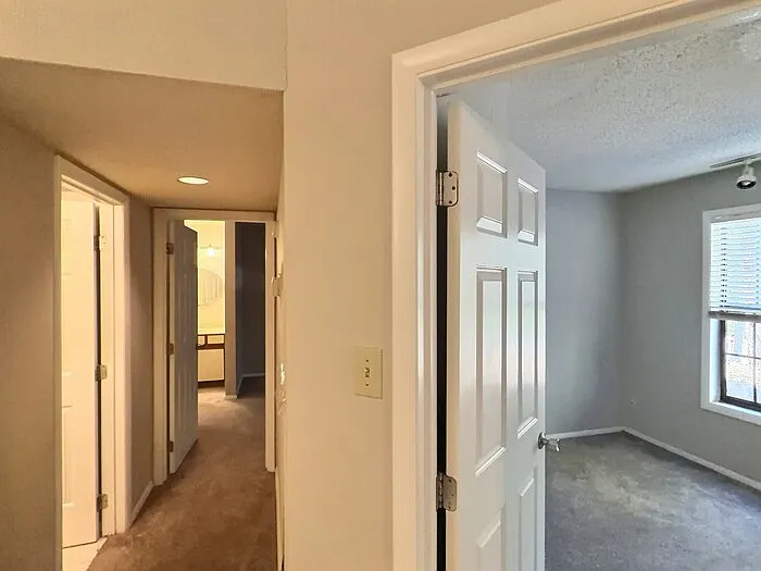 3803 Chimney Ridge Pl #3 — Photo 12