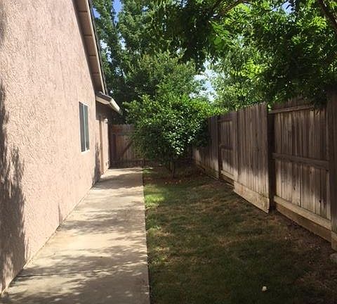 Side Yard with lemon tree