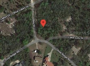 Lake Lulu Dr, Paisley, FL 32767