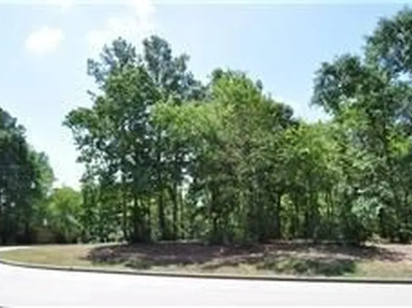 385 W Shore Ln, Montgomery, TX 77356