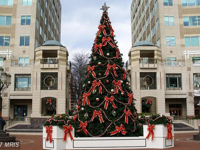 Reston Town Center