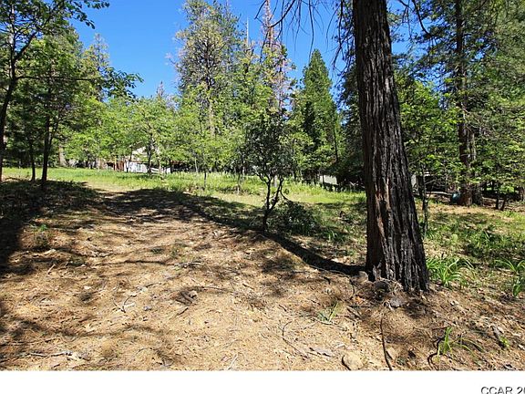 2nd image of 3034 Forest Ln