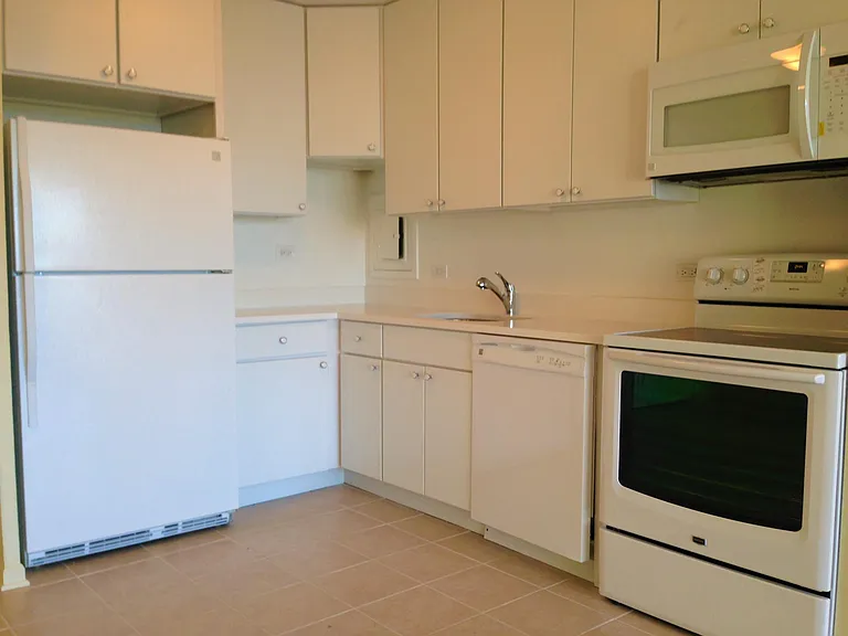 340 W Diversey Pkwy #1918 — Photo 6