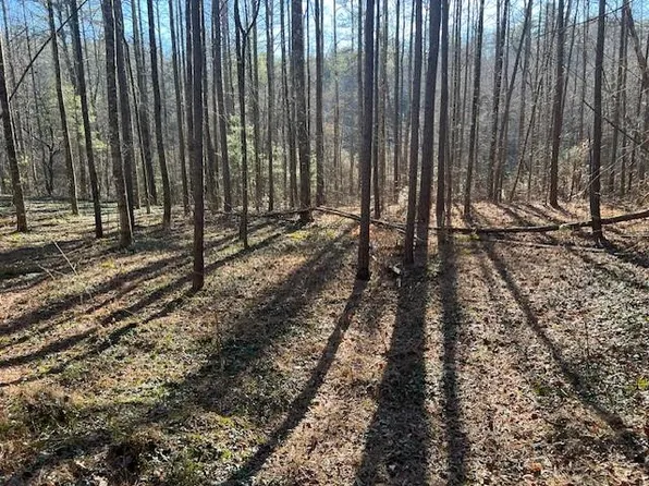 2 Old Miller Rock Rd #75, Ellijay, GA 30540