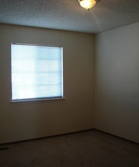 4954 Ardley Dr — Photo 11