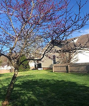 4th image of 915 Woodwinds Dr