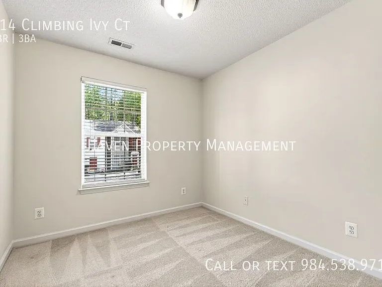 214 Climbing Ivy Ct — Photo 27