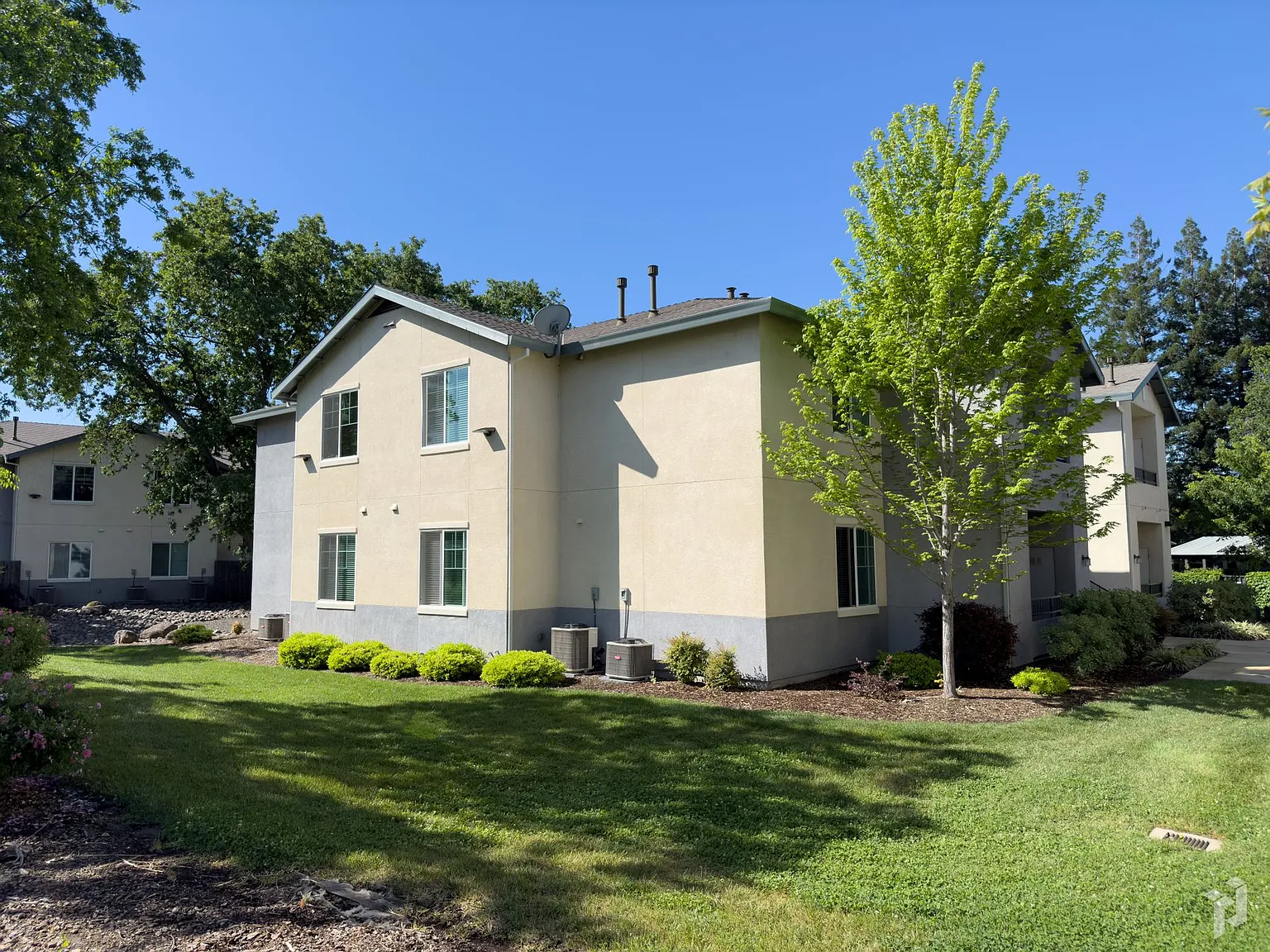 Lassen Villa Apartments — Photo 4