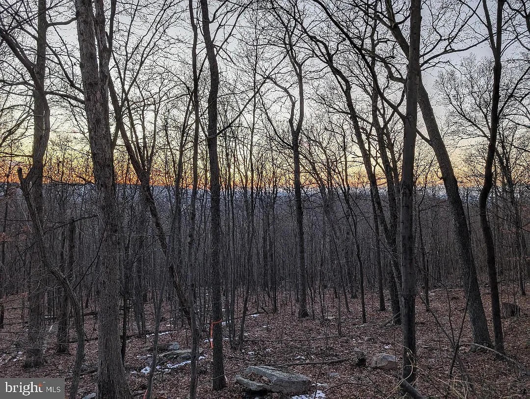 11430 National Pike photo 1