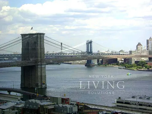 Rented by NY Living Solutions | media 1