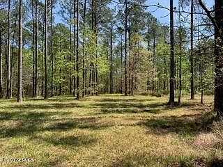 3rd image of 68 Cassie May Boulevard LOT 116 & 116A