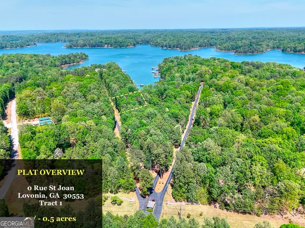 0 Rue Saint Joan, Lavonia, GA 30553