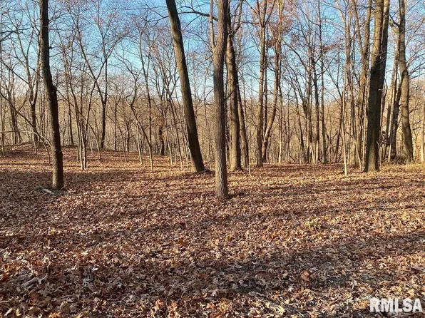 370 E Ten Mile Creek Rd, Metamora, IL 61548