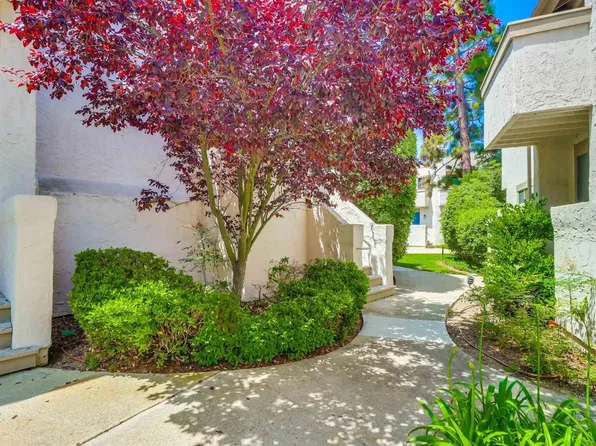 8470 Via Sonoma Unit 31, La Jolla, CA 92037