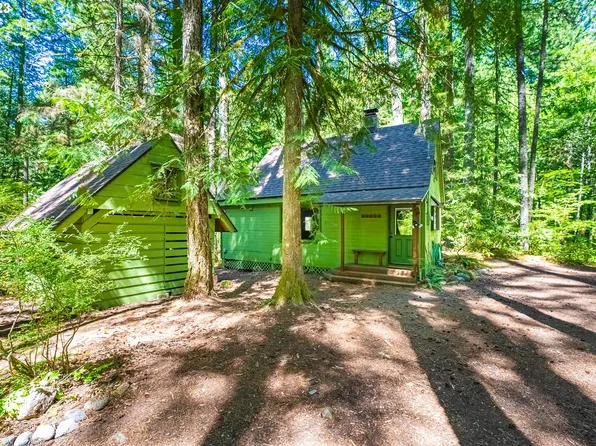 79693 E Road 35 Lot 157, Government Camp, OR 97028