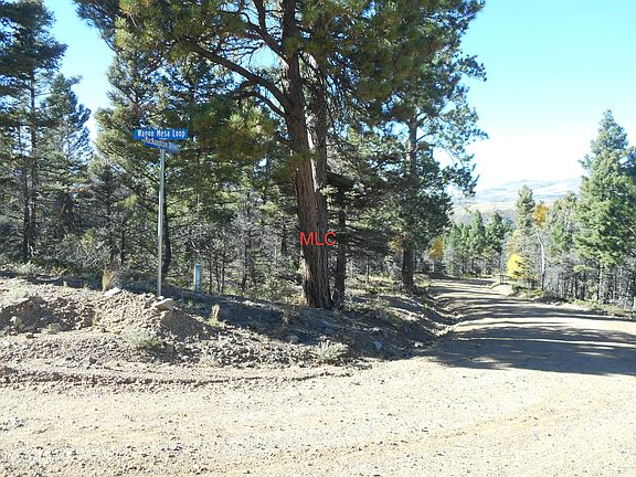 5th image of McNaughton Dr