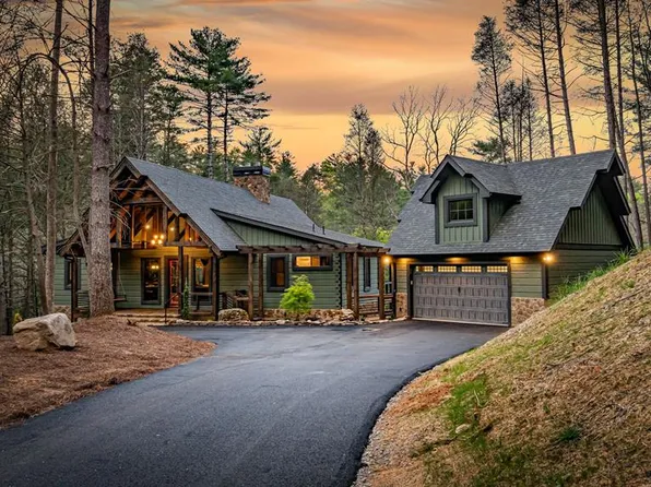 138 River Rd, Cherry Log, GA 30522