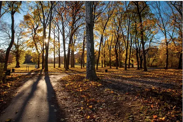 Rented by Compass | media 15