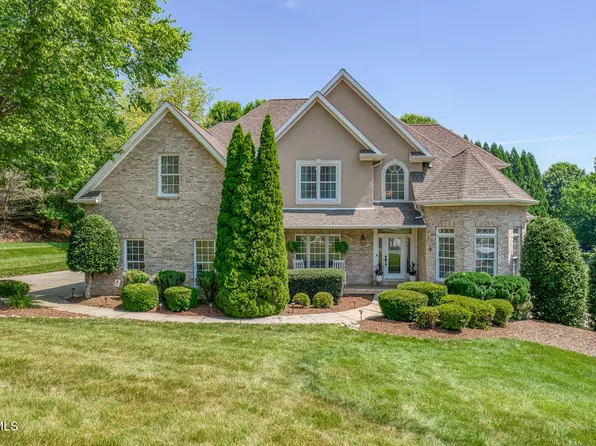 3 Chestnut Ridge Ct, Jonesborough, TN 37659