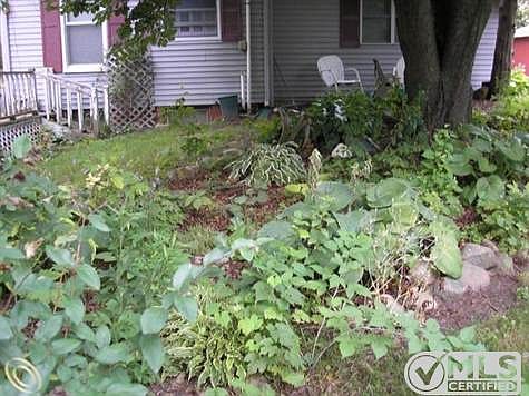 872 flower garden.jpg