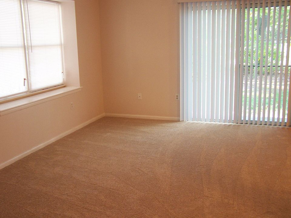 living room/new carpet