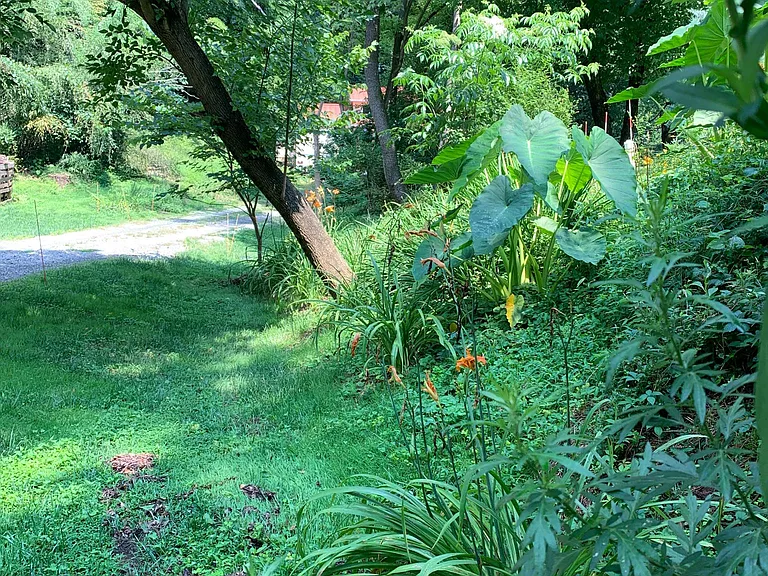 67B Sand Hill School Rd — Photo 31