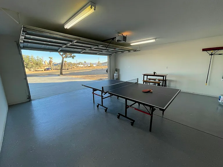 2 Car Garage (ping pong table not included)