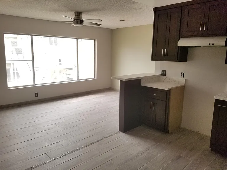 Living room and kitchen