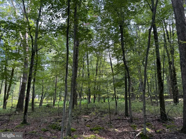 442 Haystack Dr, Zion Grove, PA 17985