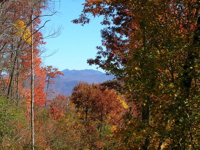 1st image of LOT 54 Cloud Nine Drive Whittier Lot 54