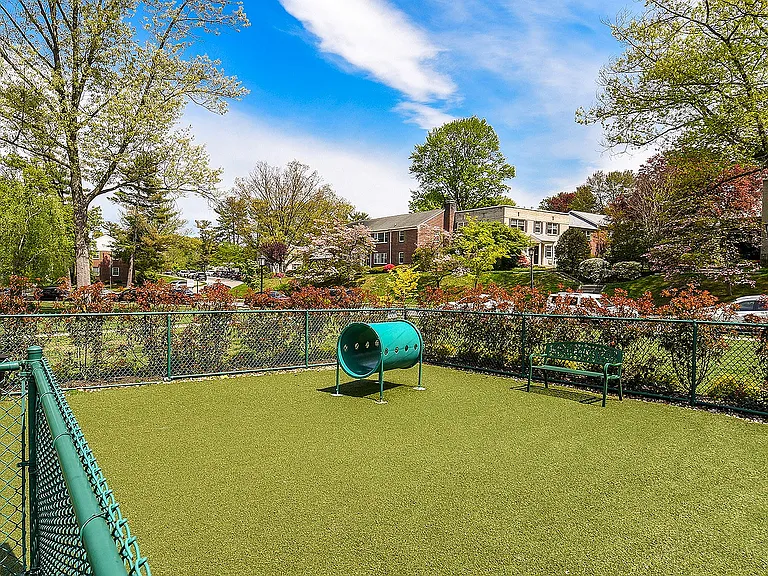 Dog Park