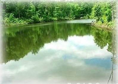 The Cloud Mirriored Breath Taking View
						:
						At high season the lake takes a lazy turn round the bend