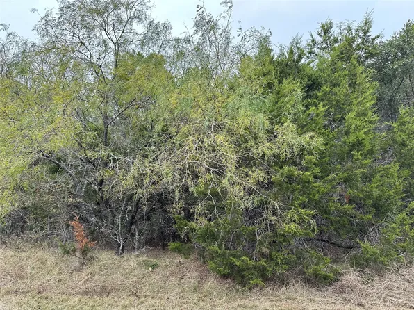 30044 Stonedale Dr, Whitney, TX 76692